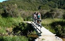 Waiharakeke Bay campsite