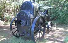 Whangaparapara: Old Mill Track