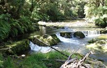 Six Mile Walk