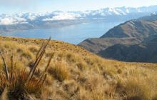 Grandview Mountain Track
