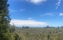 Hapuka Estuary Walk