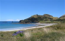 Medlands Beach Campsite