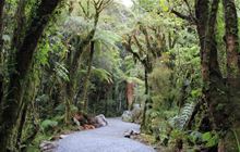 Te Ara a Waiau Walkway/Cycleway