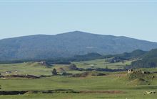 Mount Pureora via Toitoi Track