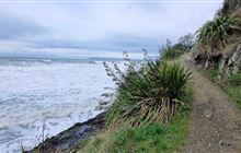 Monkey Bay Walk