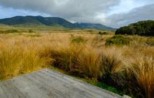 Gouland Downs campsite