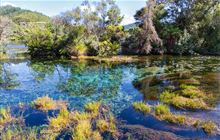 Te Waikoropupū Springs Walk