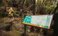 Woods Creek Track 