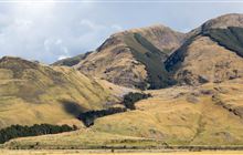 Hope Pass Track