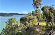 Toretore Island Walk