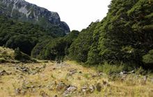 Scott Creek Track