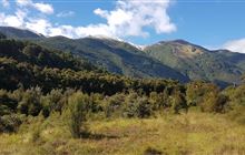 Tui Track