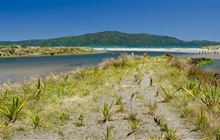 Waikanae Link Track