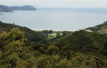 Matamataharakeke Track