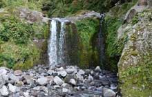 Curtis Falls Track