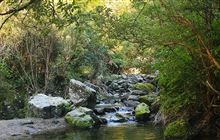 Woodside Glen Walk