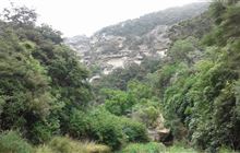 Trotters Creek Track