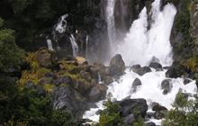 Tarawera Falls Track