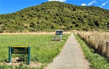 Studholme Bush Scenic Reserve tracks