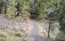 Waitaia Track