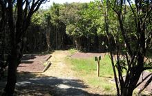 Crosbies Hut Backcountry Campsite