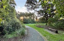 Snowdens Bush Walk