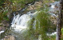Taheke Waterfall Track