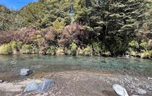 Waihohonu Campsite