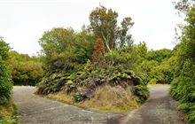 Mt Ngongotaha Jubilee Track