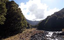 Upper Aparima/Spence Burn Route