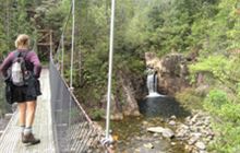 Wharekirauponga Track