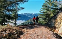 Globe Hill Track