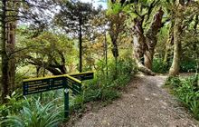 Ridge Loop Track