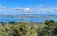 Rangitoto Summit Track