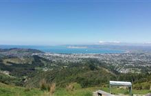 Te Kuri Farm Walkway