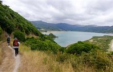 Gibbs Hill Track