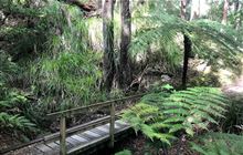 Catchpool Loop Walk