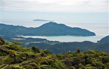 Tokatea Lookout Walking Track