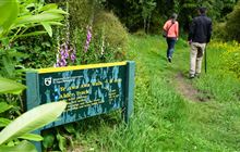 Mount Hutt Forest walking tracks