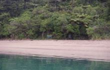 Ferndale Campsite