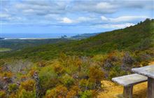 Whangaparapara: Te Ahumata Track