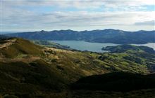 Ellangowan Scenic Reserve Track