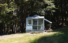 Shamrock Hut