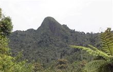 Mt Titiraupenga Track
