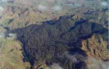 Whinray Scenic Reserve Track