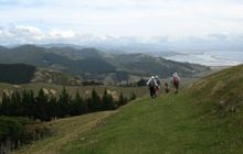 Cable Bay Walkway