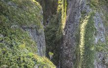 Windy Canyon and Palmer's Track to Mt Hobson (Hirakimata)