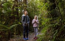 Conservation activities: Get involved