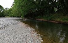 Twizel River Trail