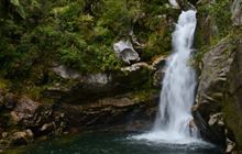 Wainui Falls Track
